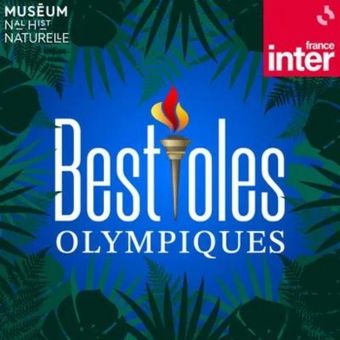 Bestioles-olympiques-collection